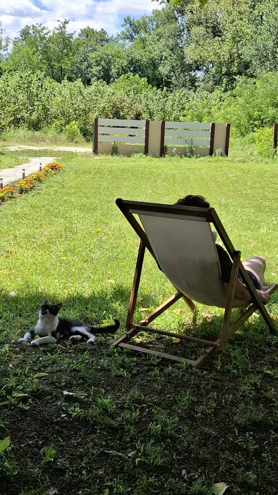 Mirne večeri pod zvezdama