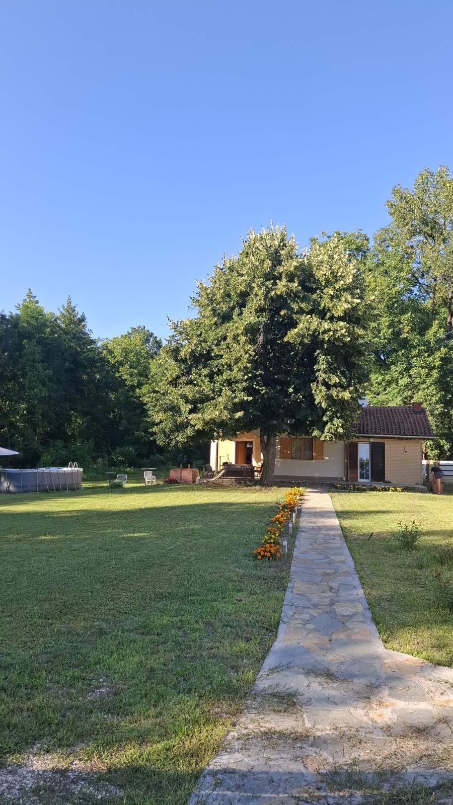 Vikendica Zaječar — kuća pod velikim drvetom u zlatnom svetlu